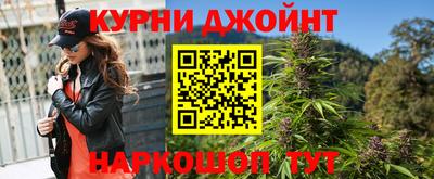 крисы Моздок