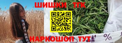 крисы Моздок