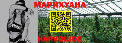 крисы Моздок