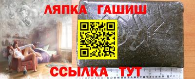 крисы Моздок