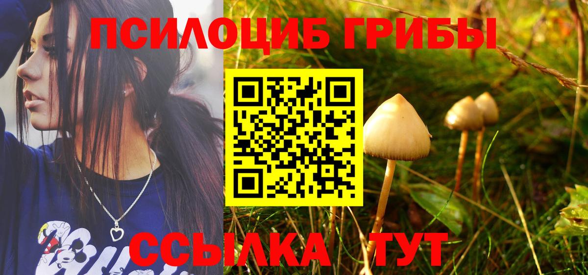 Псилоцибиновые грибы прущие грибы Топки