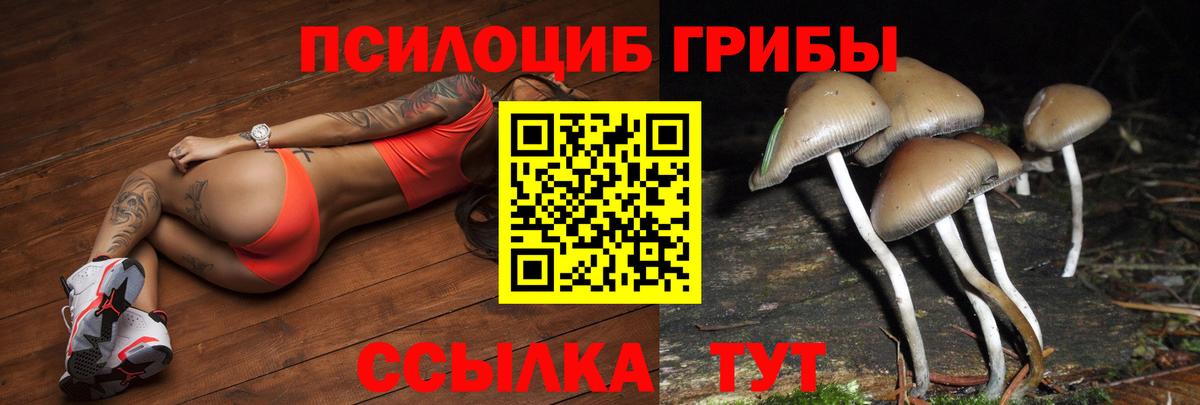 Топки  Галлюциногенные грибы Cubensis  Вход с VPN 